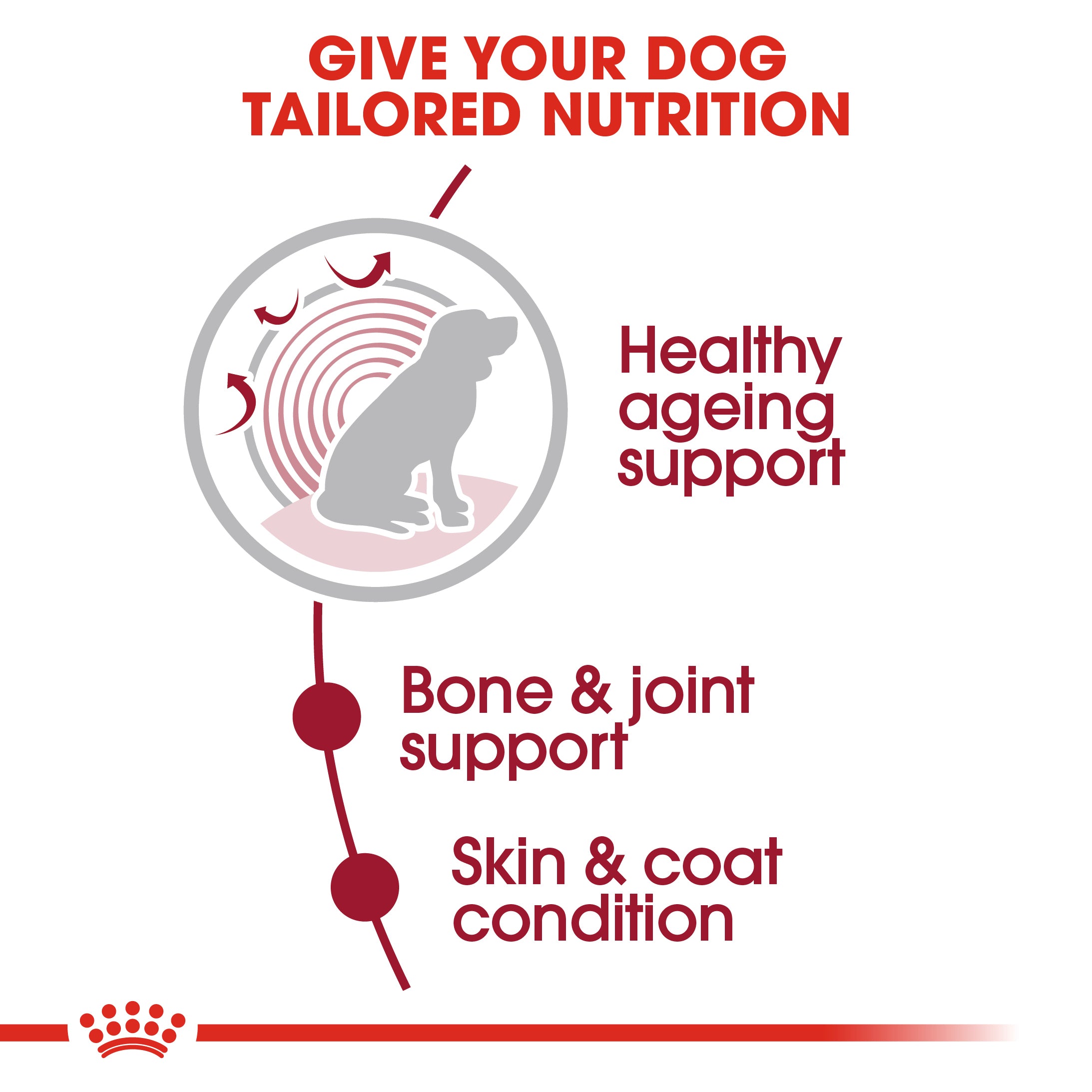 Royal Canin Medium Ageing 10+ Senior in Gravy Wet Dog Food, 140g x 10 Pack