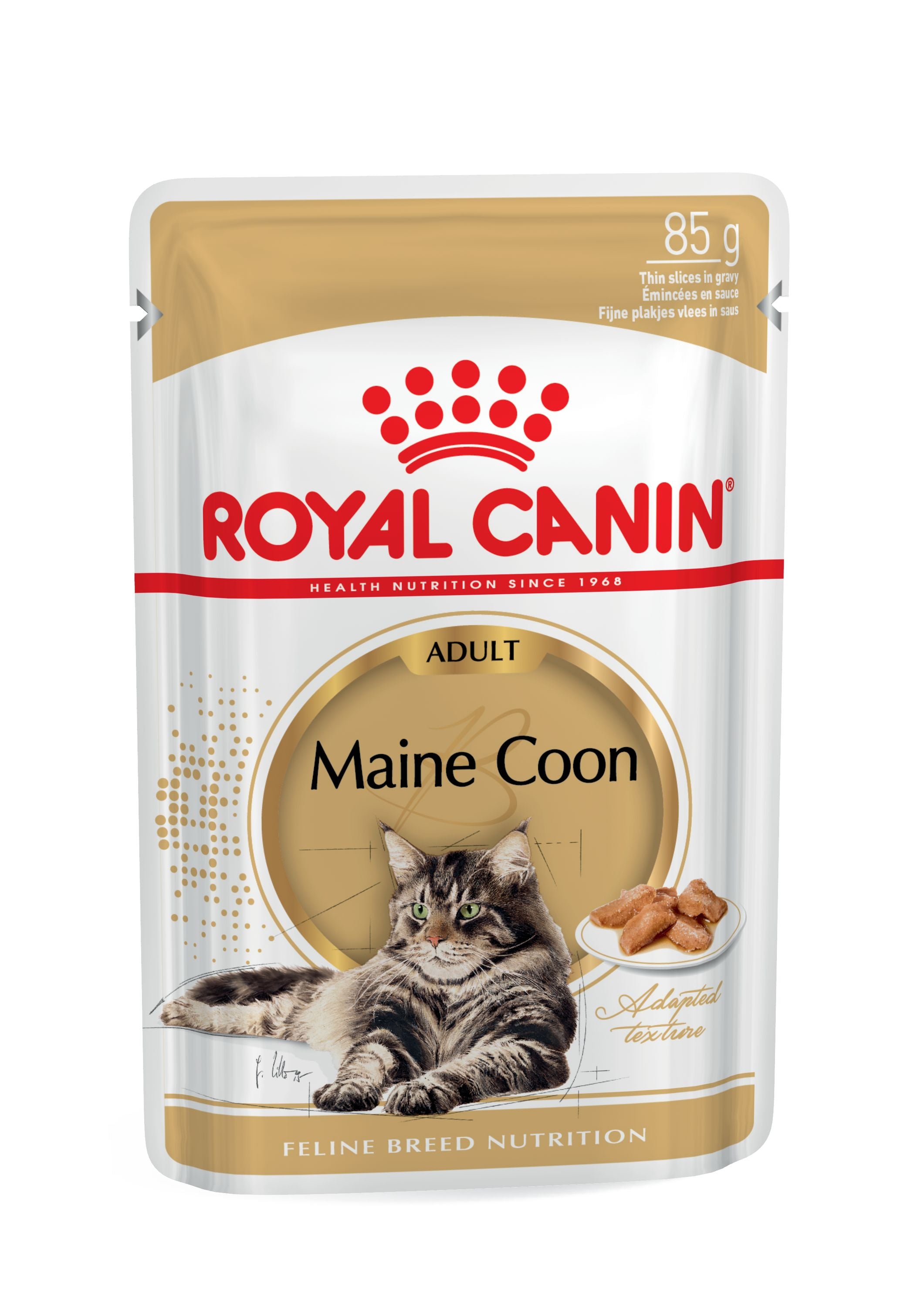Royal Canin Maine Coon Adult Wet Cat Food in Gravy, 85g x 12 Pack