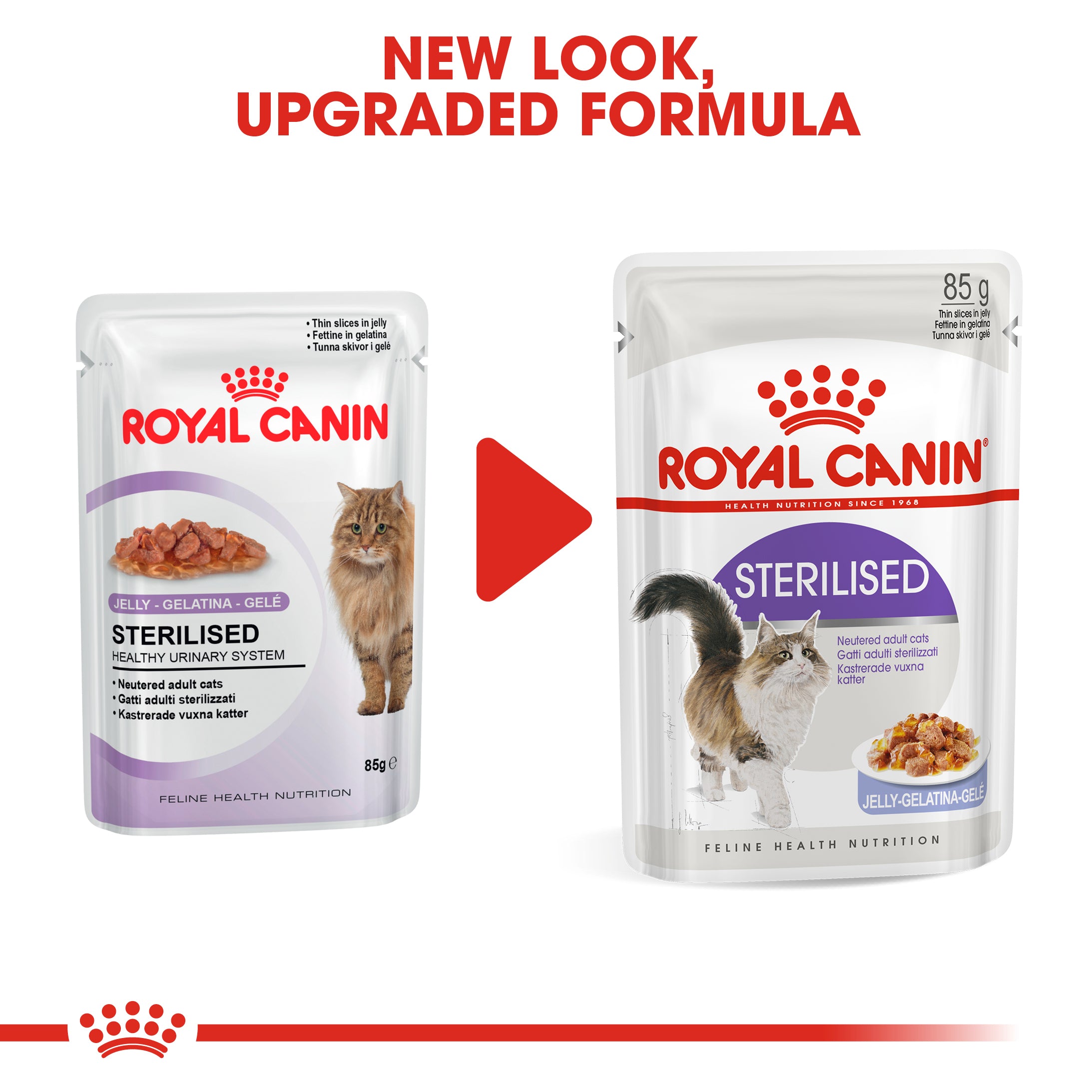 Royal Canin Sterilised In Jelly Adult Wet Cat Food, 85g x 12 Pack