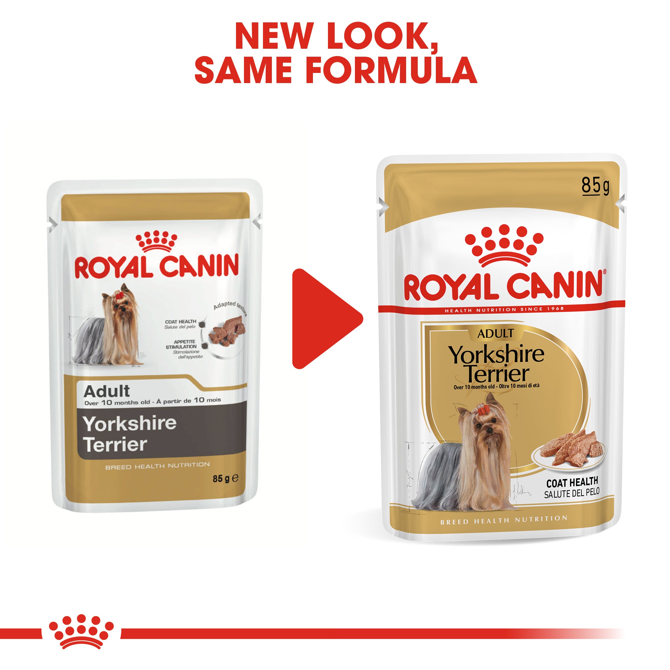 Royal Canin Yorkshire Terrier Adult Wet Dog Food In Loaf, 85g x 12 Pack