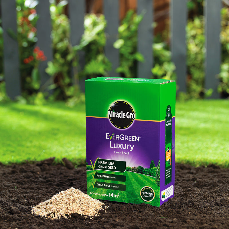 EverGreen Luxury Lawn Seed 420g carton