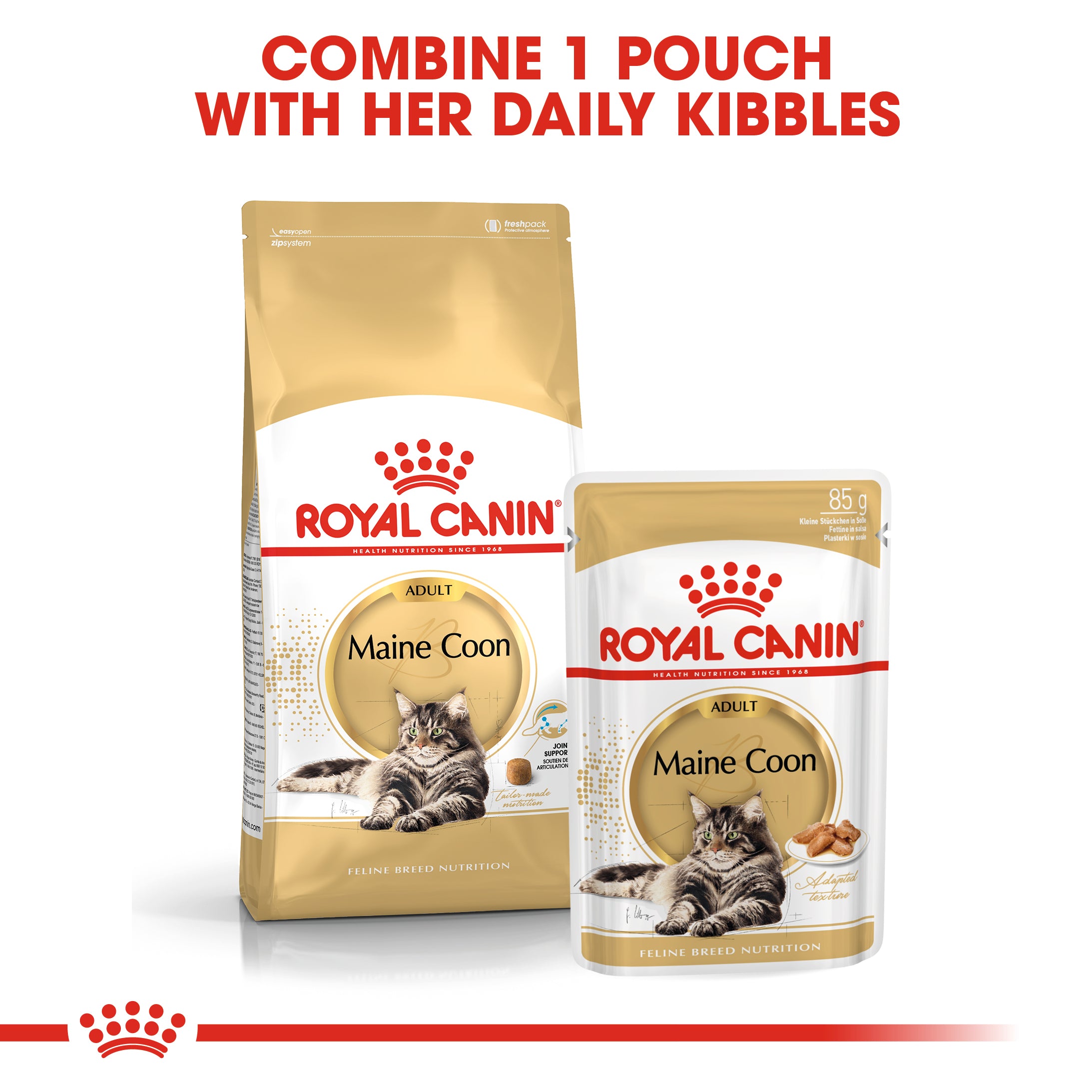 Royal Canin Maine Coon Adult Wet Cat Food in Gravy, 85g x 12 Pack