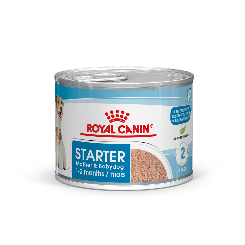 Royal shop canin starter