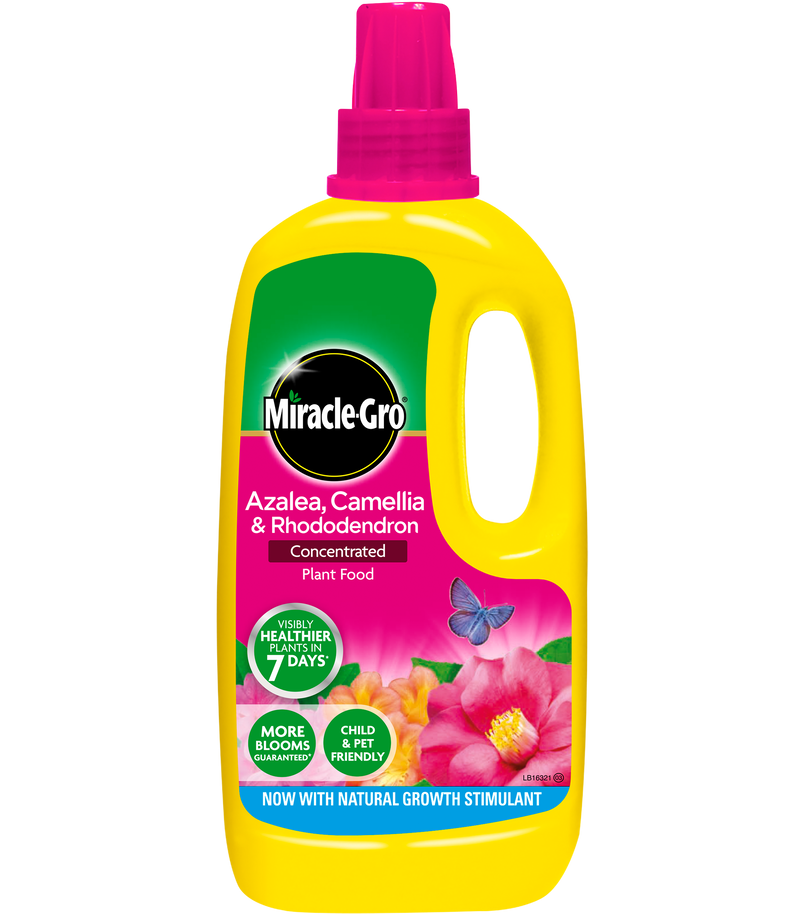 Miracle-Gro Azalea, Camellia & Rhododendron Concentrated Liquid Plant Food 1 litre