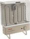 Dimplex 500W Coldwatcher Heater