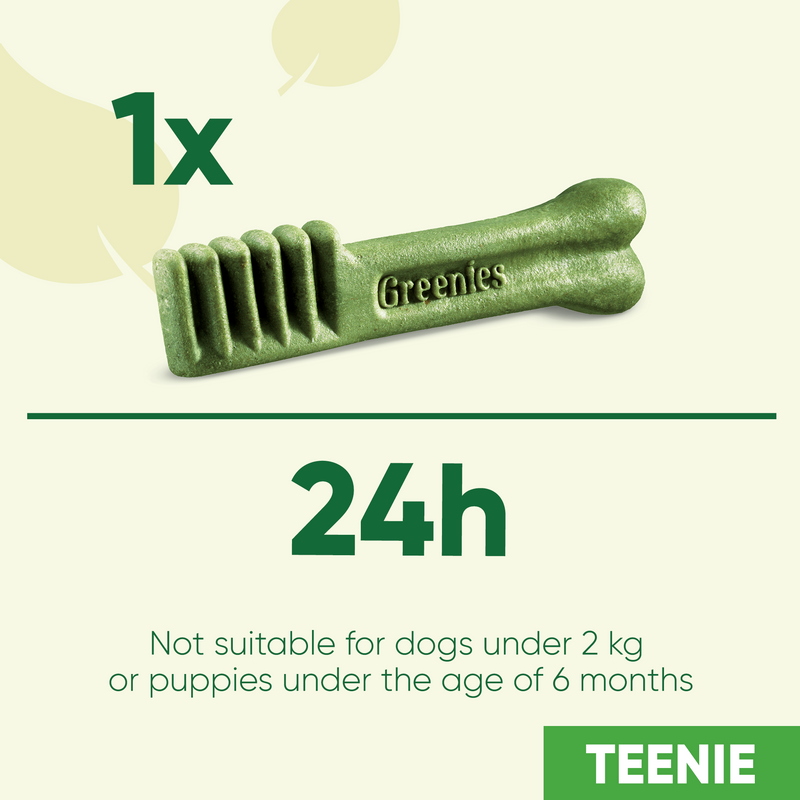 Original Teenie Dog Dental Treats 170g