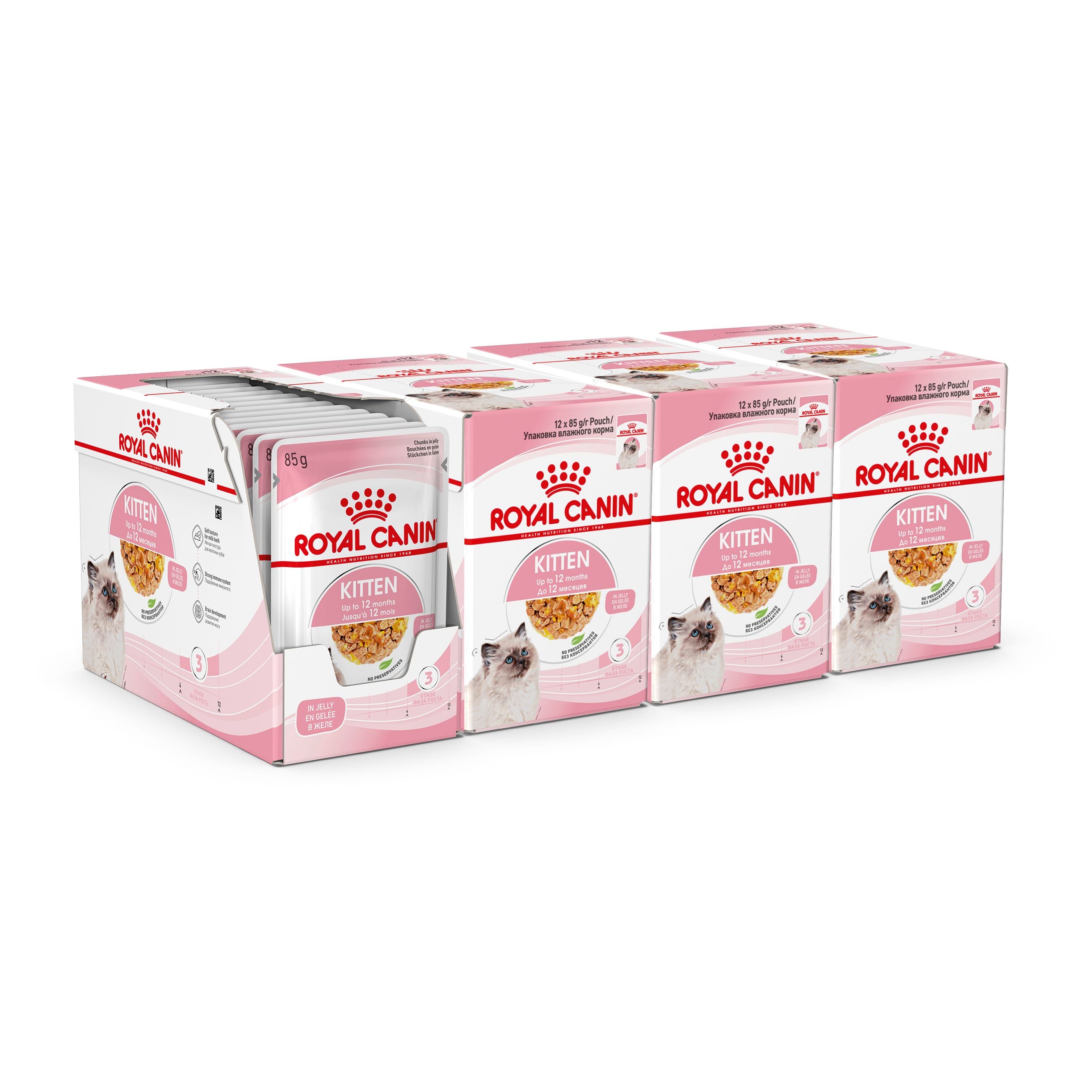 Royal Canin Kitten In Jelly Wet Food, 85g x 12 Pack