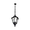 Fumagalli Noemi Sichem Large LED Lantern with Chain, Black