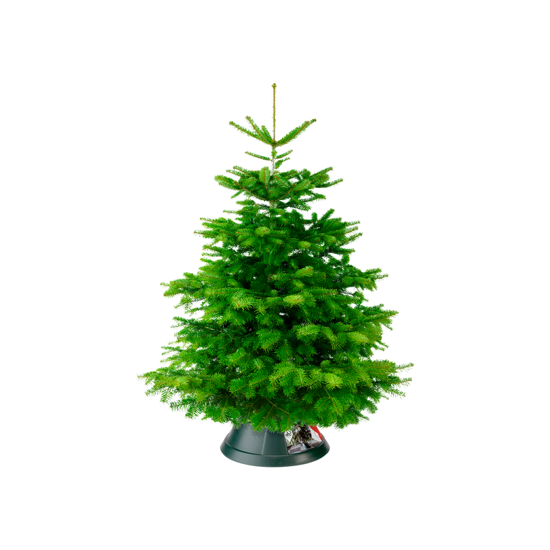 Nordman 39cm Indoor Christmas Tree Stand - Green
