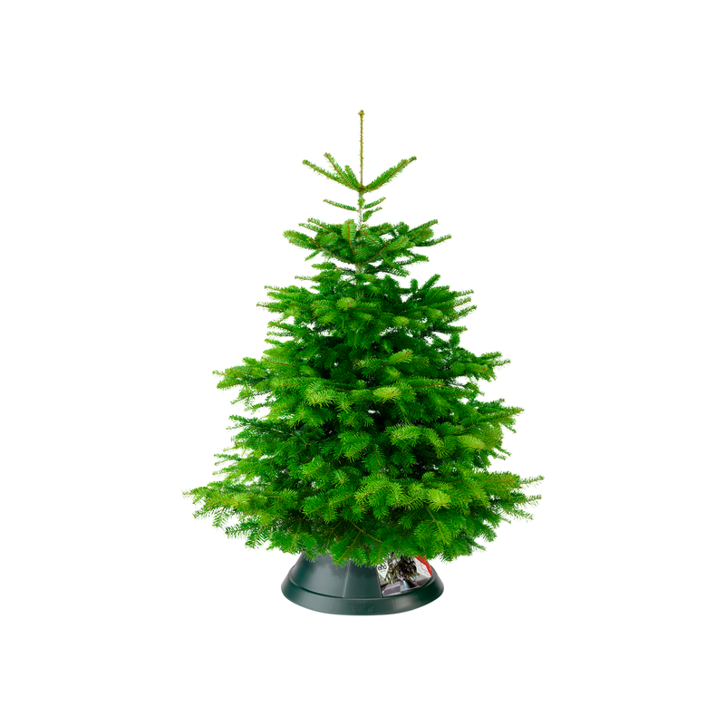Nordman 52cm Indoor Christmas Tree Stand - Green