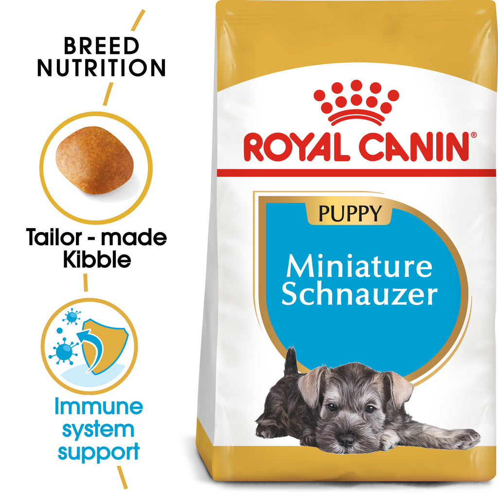 Royal canin clearance dachshund 1.5 kg