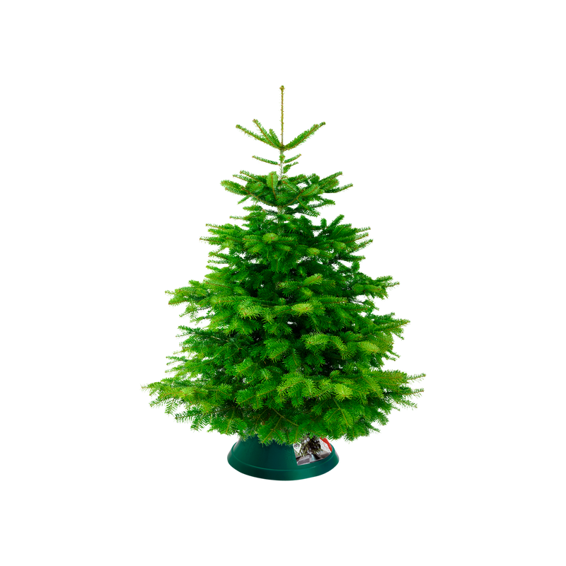 Elho Oslo 38 - Christmas Tree Stand - Green - Indoor! - L 37.76 x W 37.76 x H 17.50 cm