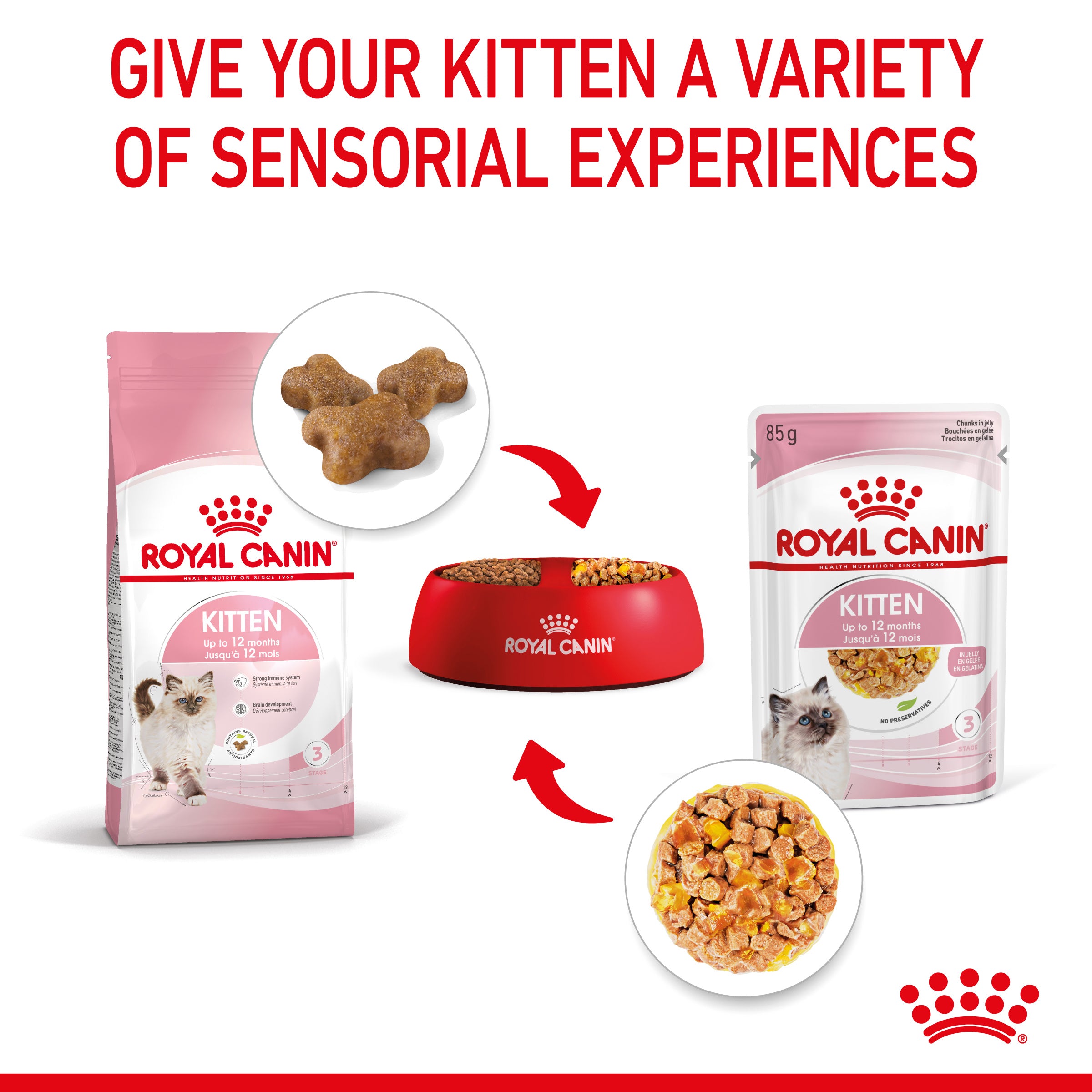 Royal Canin Kitten In Jelly Wet Food, 85g x 12 Pack