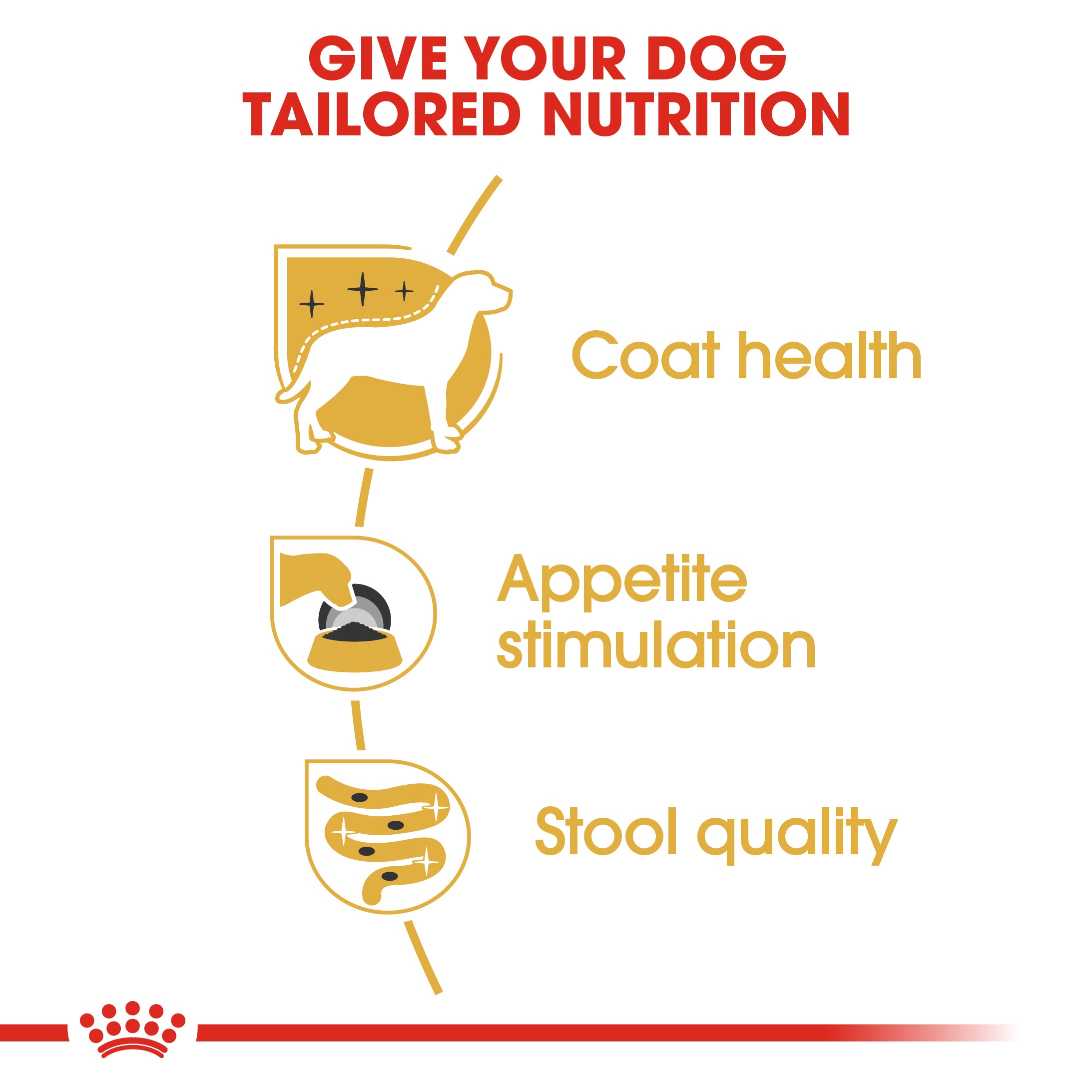 Royal Canin Yorkshire Terrier Adult Wet Dog Food In Loaf, 85g x 12 Pack