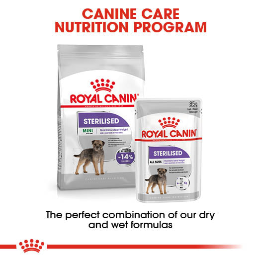 Royal Canin Sterilised Care Wet Pouches Adult Dog Food in Loaf, 85g x 12 Pack