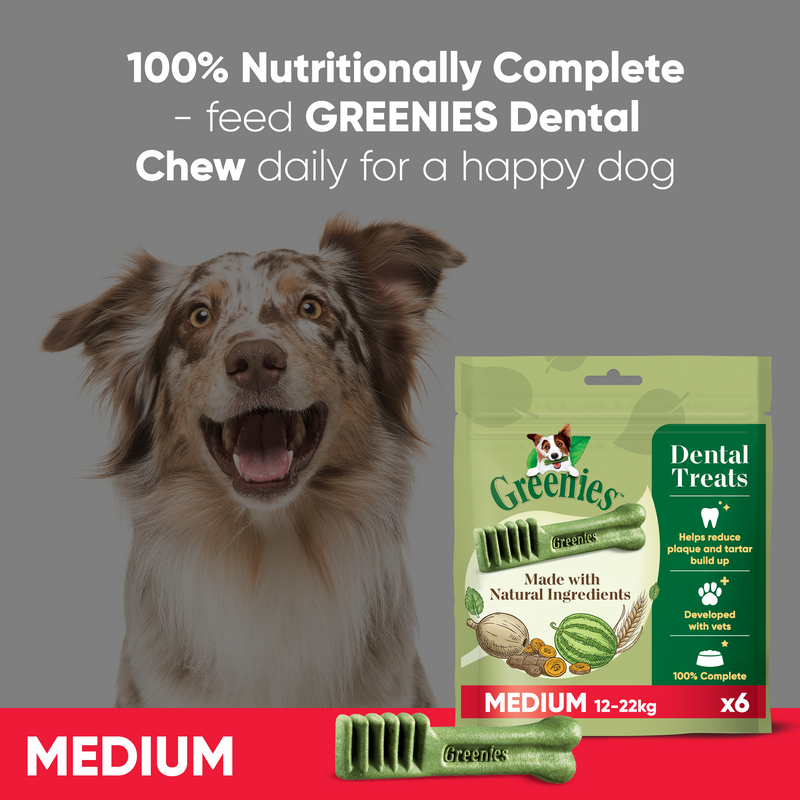 Greenies Original Regular Dog Dental Treats 170g