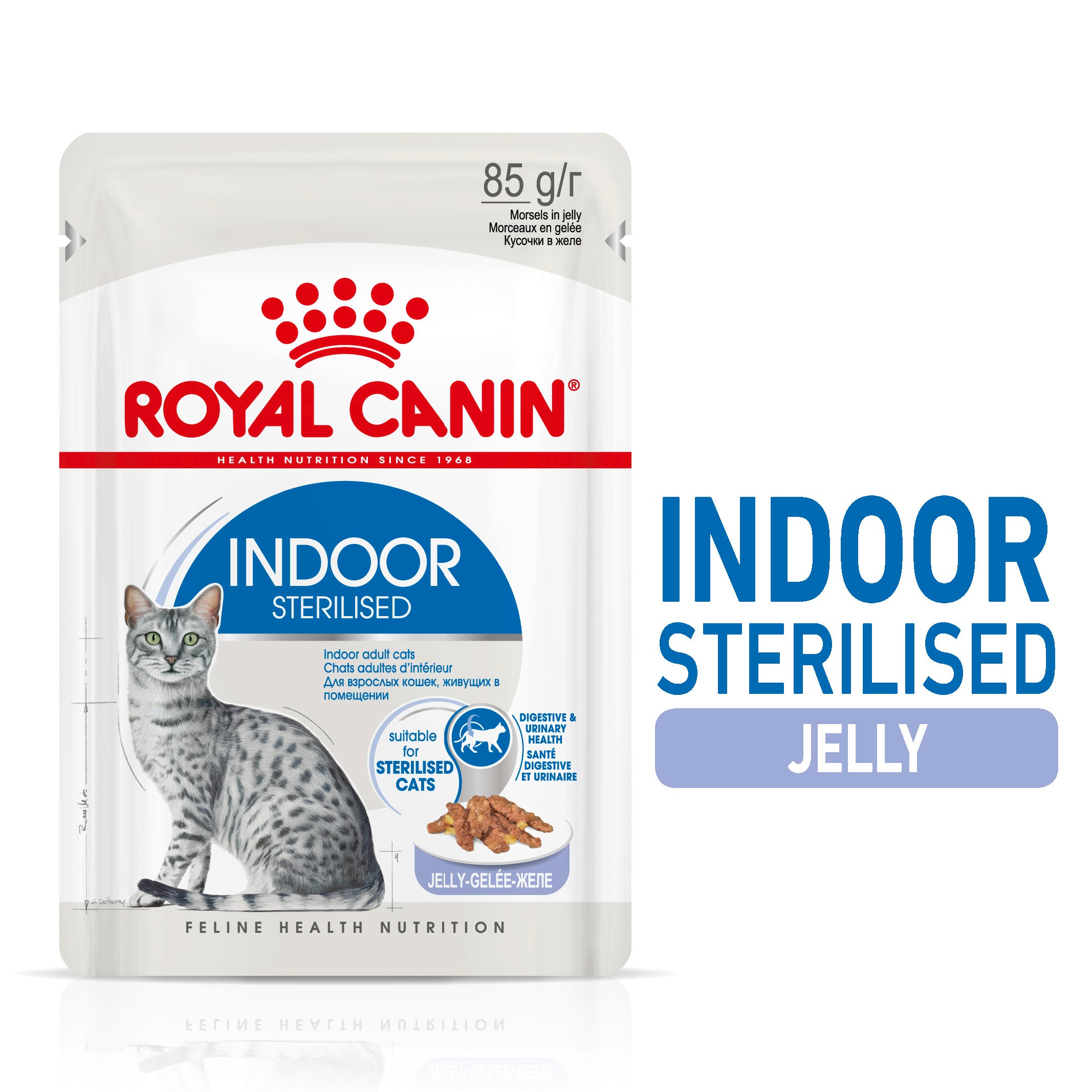 Royal Canin Indoor Sterilised In Jelly Adult Wet Cat Food, 85g x 12 Pack