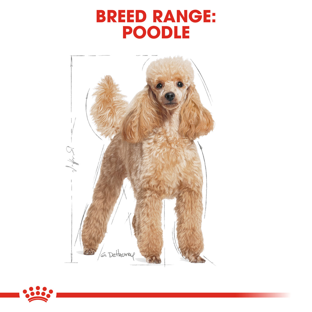 Royal on sale canin range