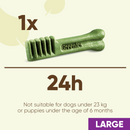 Greenies Grain Free Large Dog Dental Treats 170g