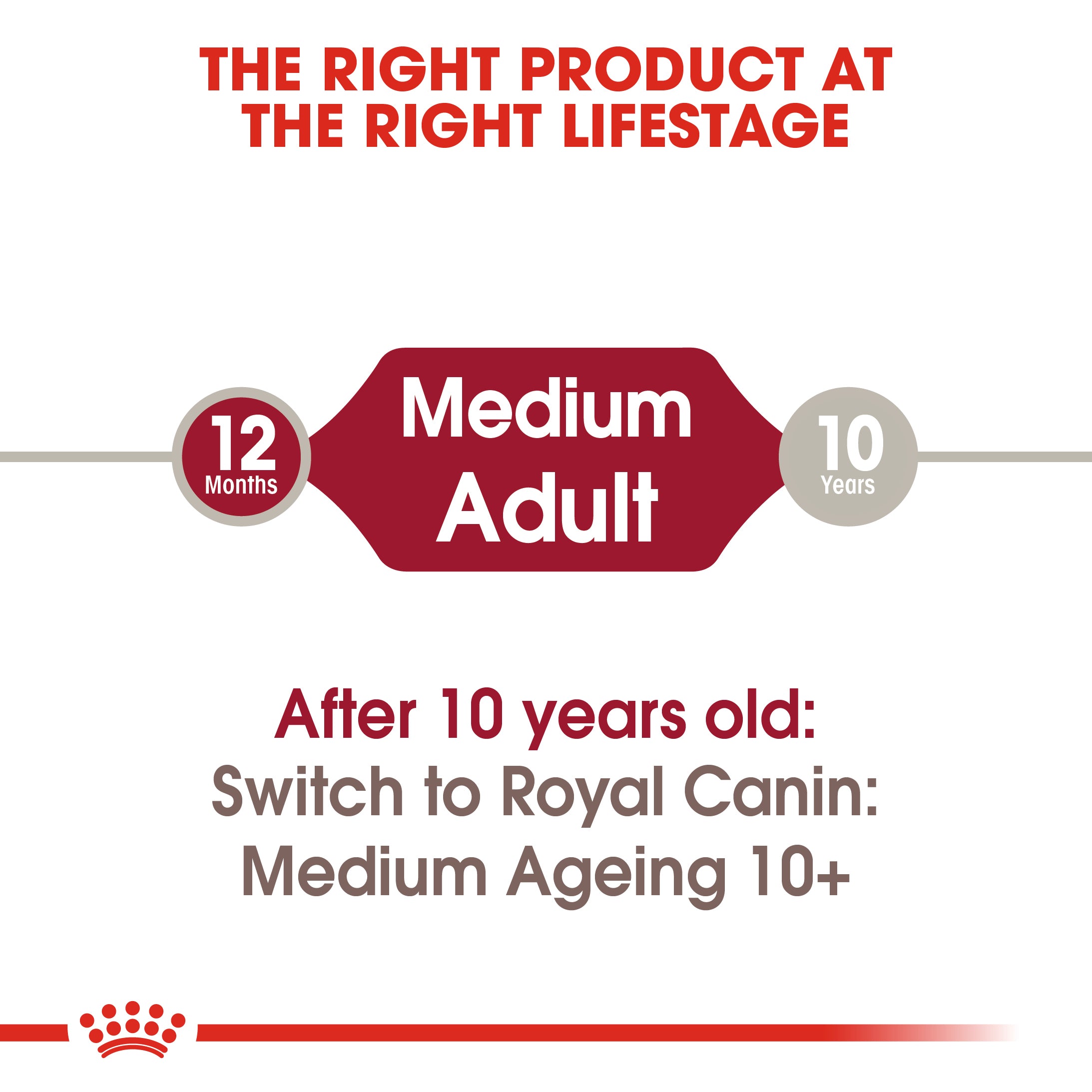 Royal Canin Medium Adult in Gravy Wet Dog Food, 140g x 10 Pack