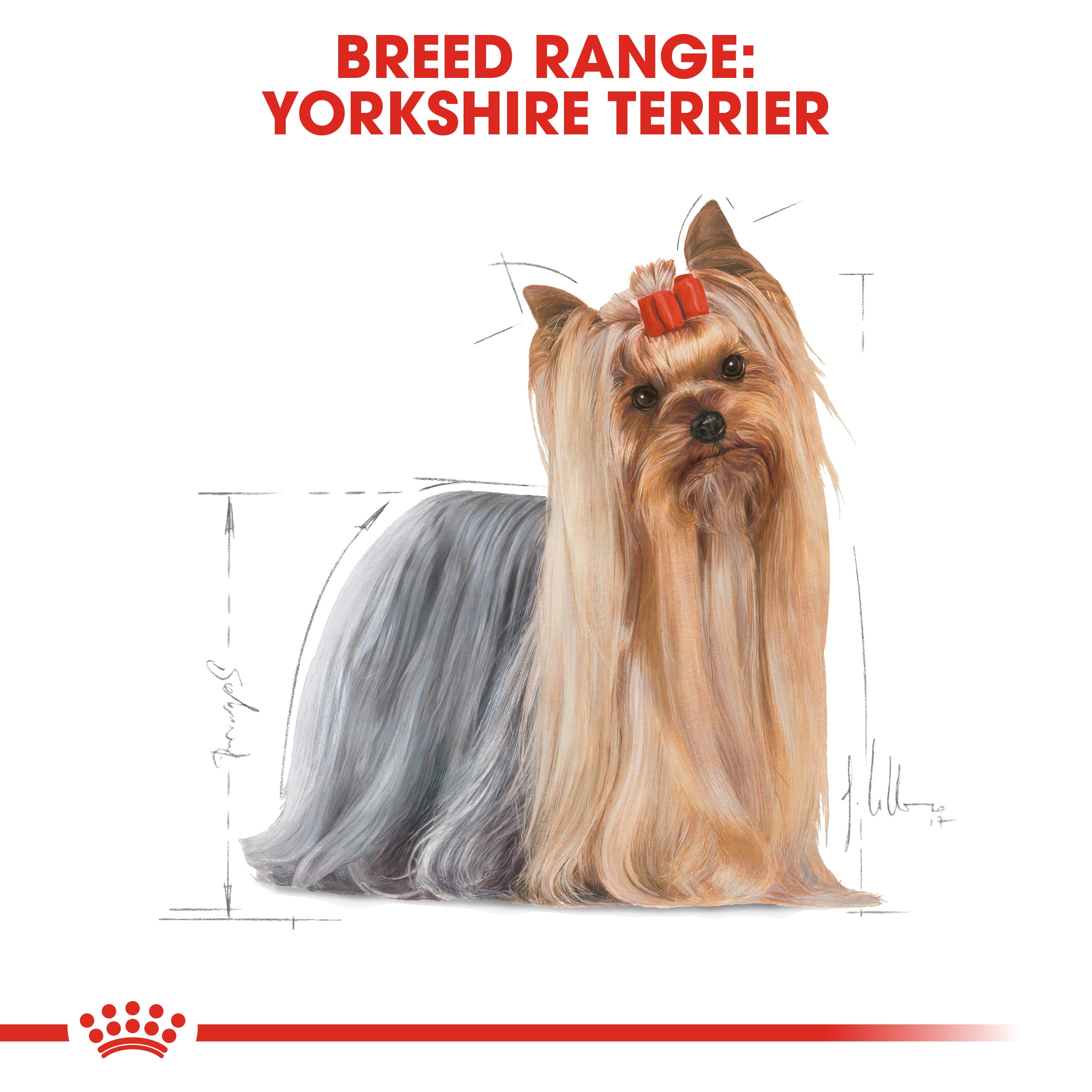 Royal Canin Yorkshire Terrier Adult Wet Dog Food In Loaf, 85g x 12 Pack