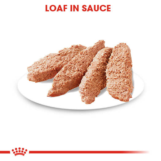 Royal Canin Sterilised Care Wet Pouches Adult Dog Food in Loaf, 85g x 12 Pack