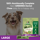 Greenies Original Large Dog Dental Treats 170g