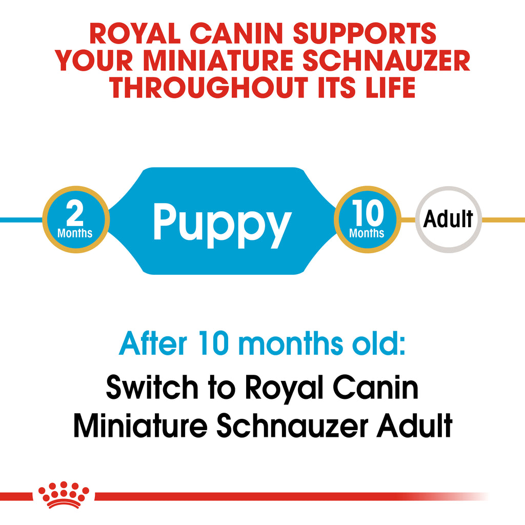 Royal canin hotsell mini schnauzer