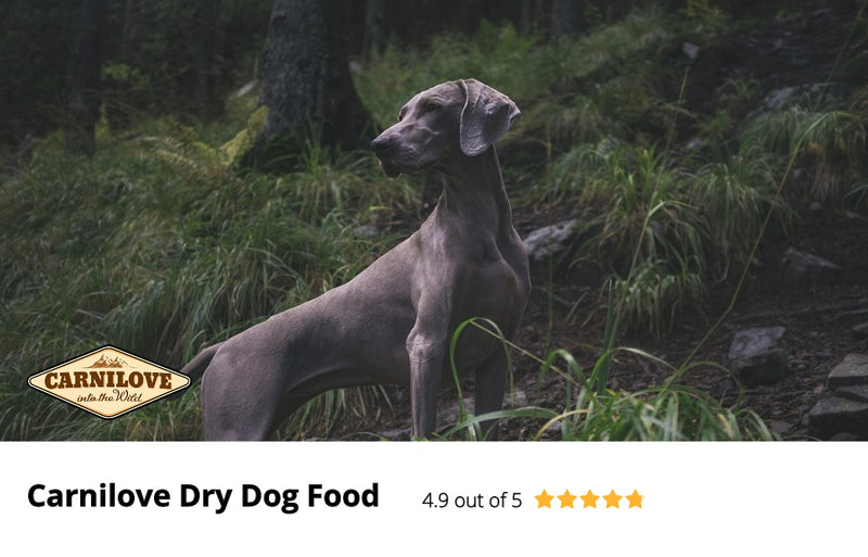 Independent Review of Carnilove Dry Dog Food