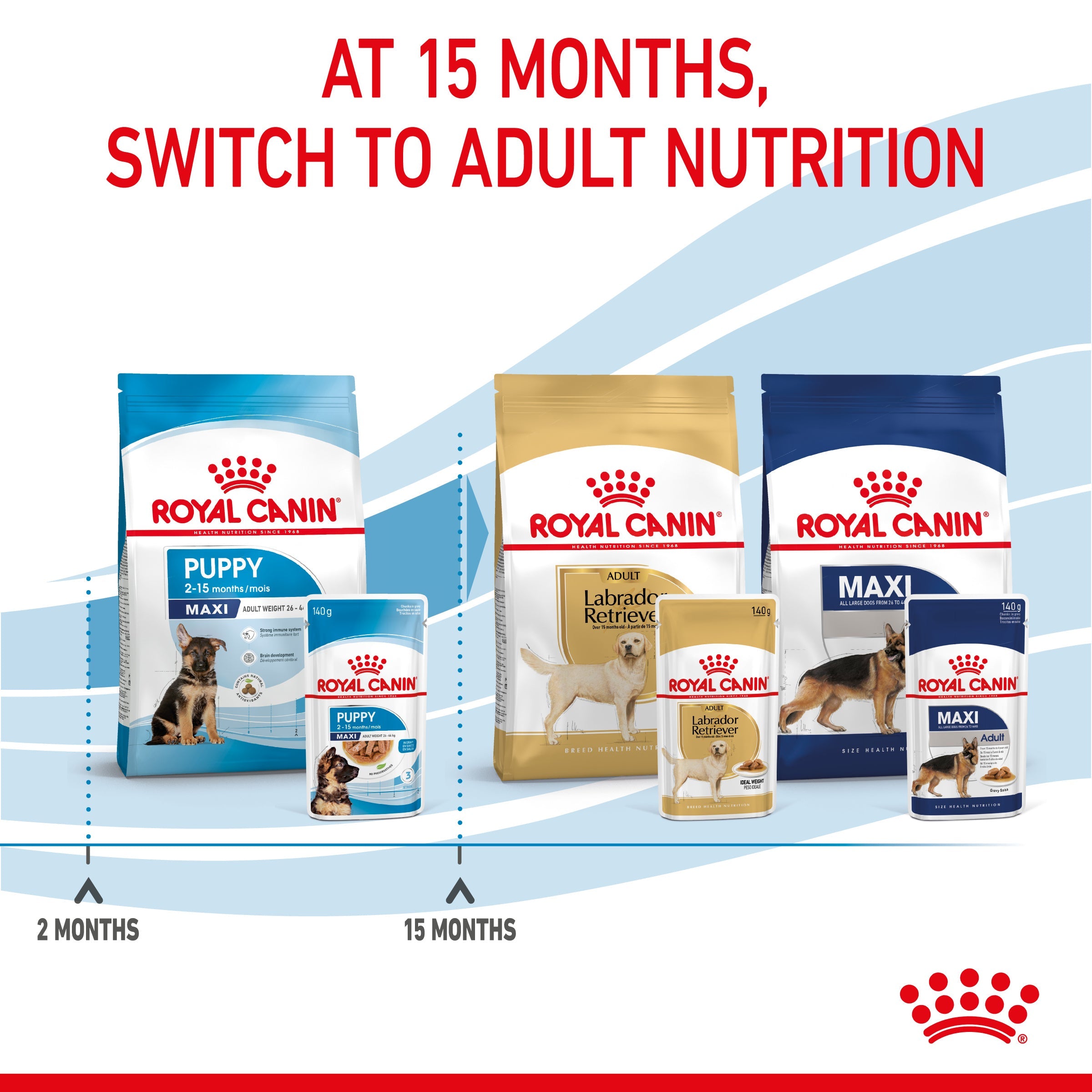 Royal Canin Maxi Puppy in Gravy Wet Food, 140g x 10 Pack