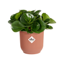 Vibes Fold 7cm Mini Round Plastic Indoor Plant Pot - Delicate Pink