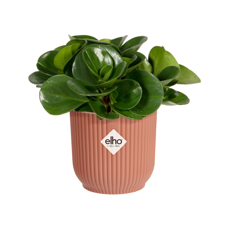 Vibes Fold 7cm Mini Round Plastic Indoor Plant Pot - Delicate Pink