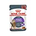 Appetite Control Care in Gravy Adult Wet Cat Food, 85g x 12 Pack