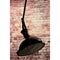 Fermont Adjustable Traditional Iron Studio Ceiling Light