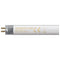 8W T5 12" Fluorescent Bulb - Cool White