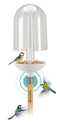 ClickUp! Birdie BirdFeeder