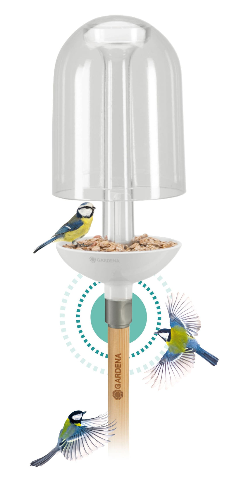 ClickUp! Birdie BirdFeeder