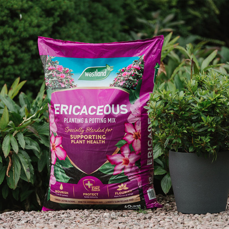 Ericaceous Planting & Potting Mix 25L