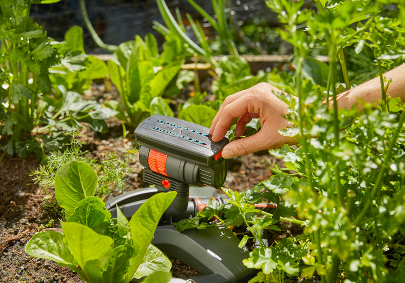 Oscillating Sprinkler AquaZoom compact