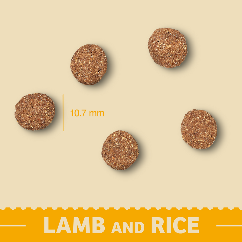 Complete Dry Puppy Food - Lamb & Rice - 7.5KG