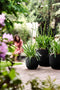 Fuente Rings 30cm Round Plastic Indoor & Outdoor Plant Pot - Onyx Black