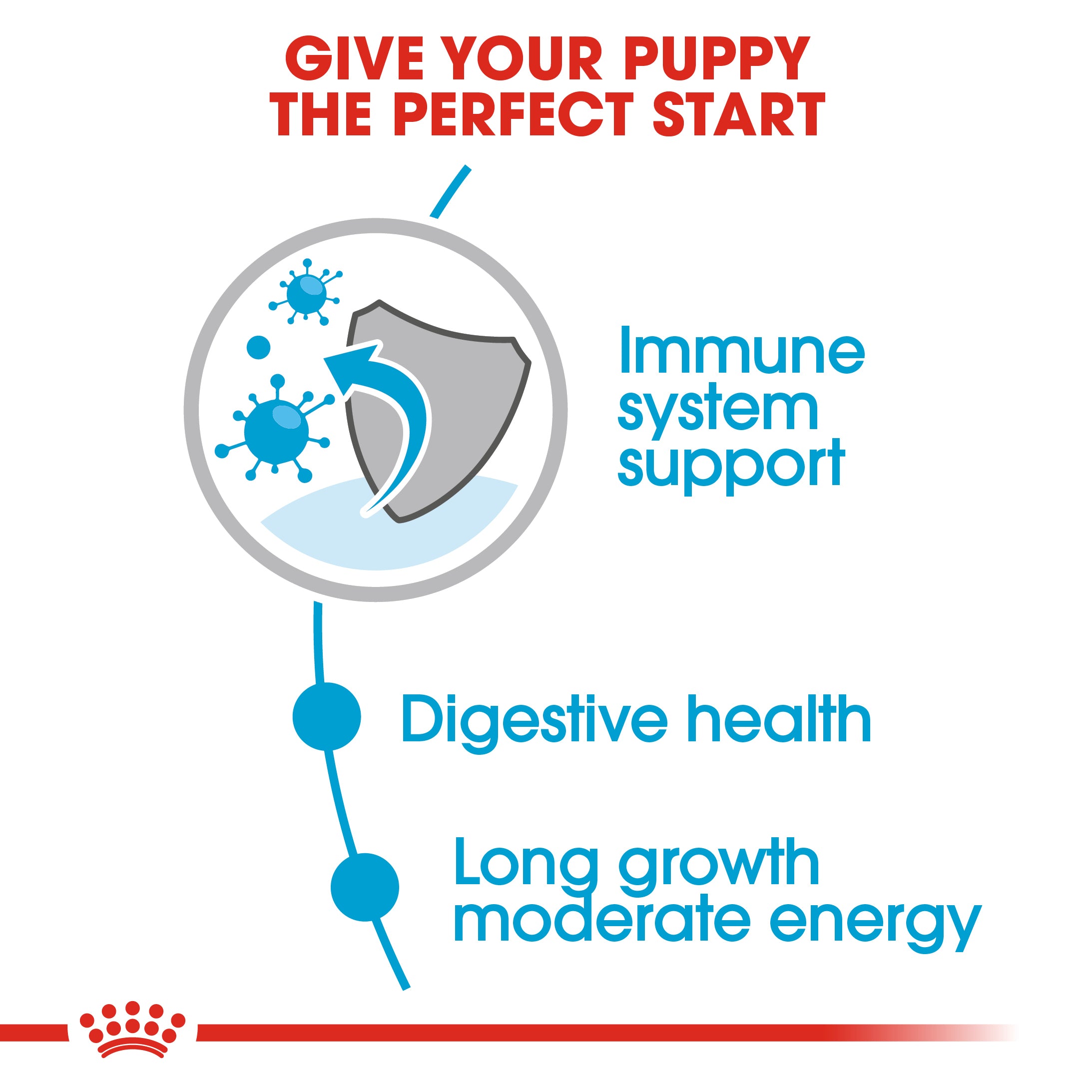 Royal Canin Maxi Puppy in Gravy Wet Food, 140g x 10 Pack