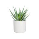 White B.for Soft Round Flowerpot - 22cm