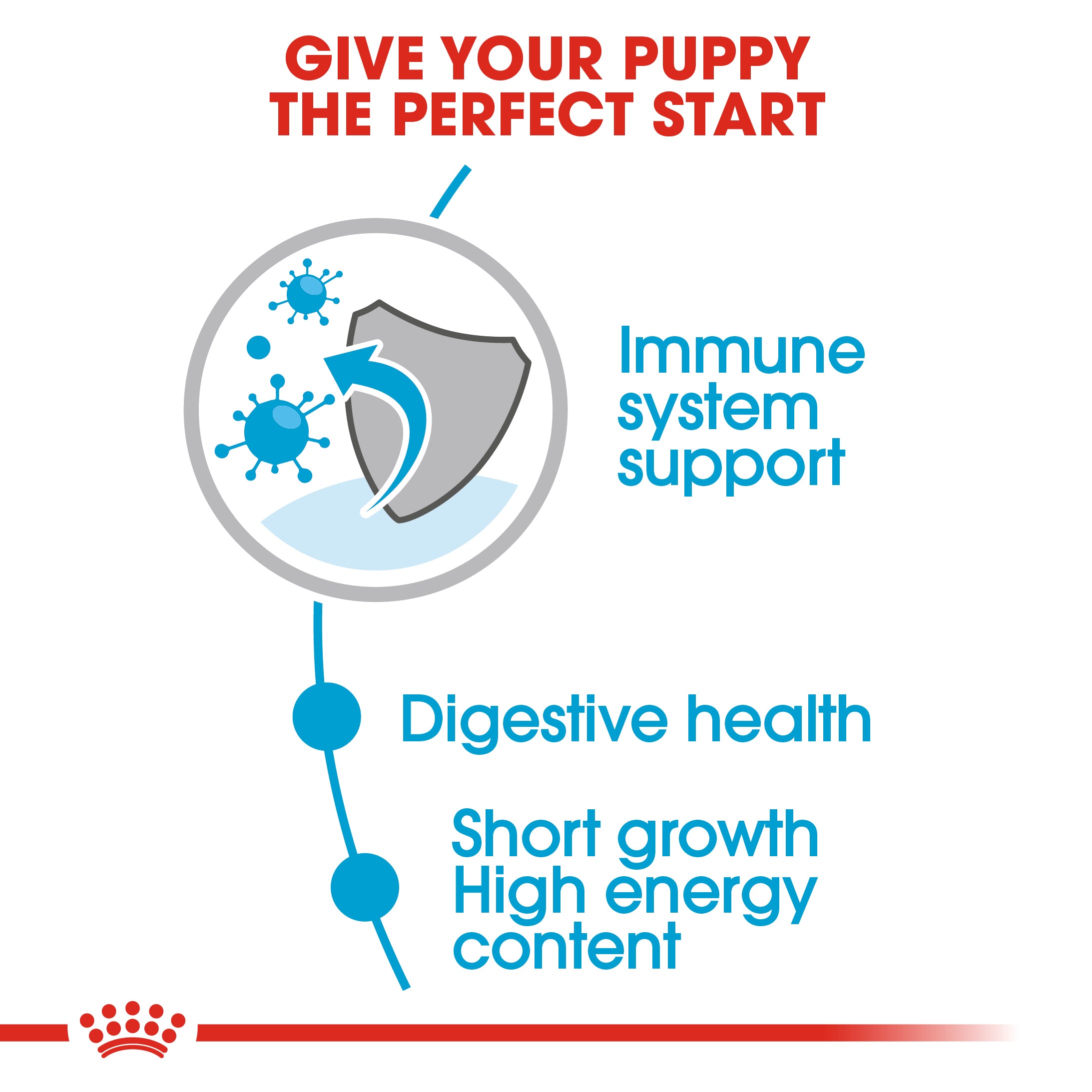Medium Puppy in Gravy Wet Food, 140g x 10 Pack