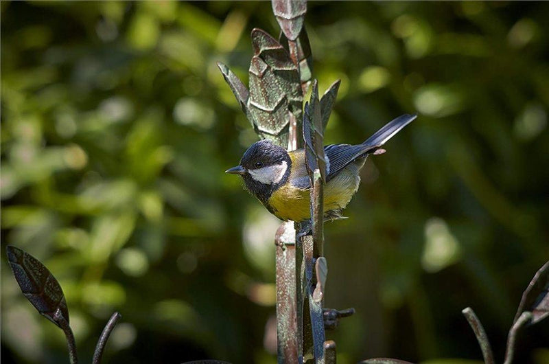 Secret Garden Dining Station for Wild Birds