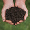 All Plant Compost 20L