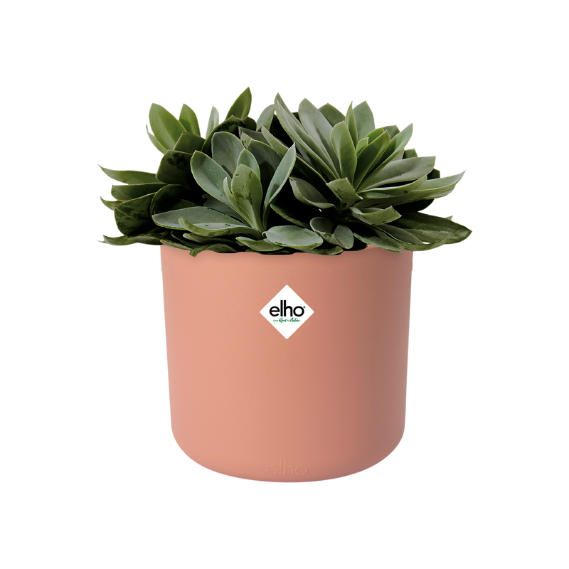 B.for Soft Round 14cm Pot - Delicate Pink