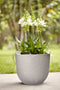 Fuente Lily 38cm Round Plastic Indoor & Outdoor Plant Pot - Pebble Grey