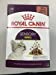 Royal Canin Sensory Smell In Gravy Adult Wet Cat Food, 85g x 12 Pack