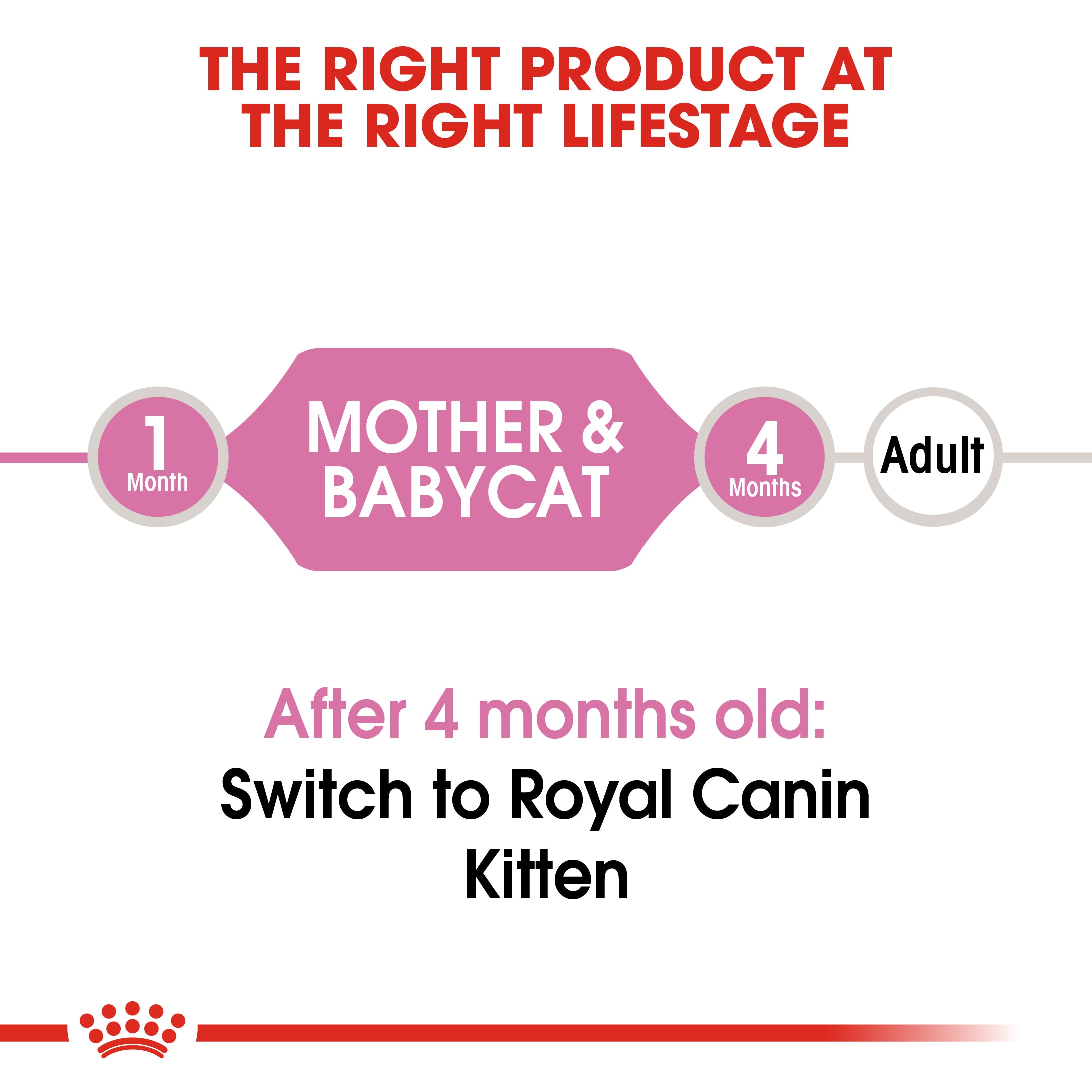 Mother And Babycat Adult And Kitten Wet Food Mousse, 195g x 12 Pack